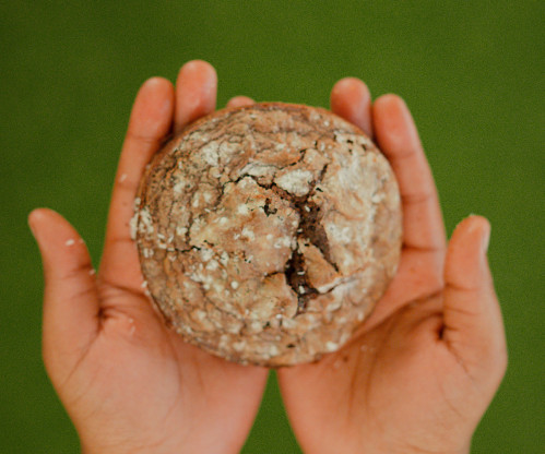 Wonderdal Cookies & Curiosity – Play • Search • Discover • Taste