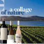 Benguela Cove Summer winemakers lunch 