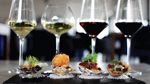 Wine and Oyster Pairing