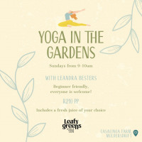 Yoga in the Gardens is back at Leafy Greens Cafe