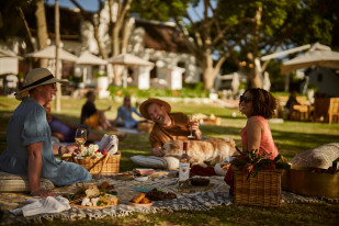 Relaxing picnics on the lawn!