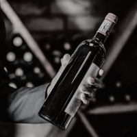 September Wine Pairings
