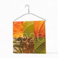 Workshops in January