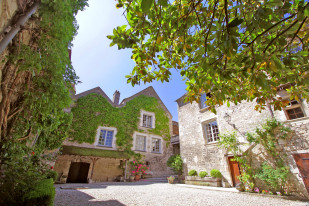 The Cape Wine Auction: Lots of wine, generosity & once-in-a-lifetime experiences