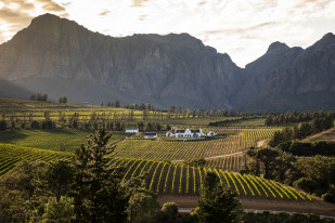 Sunset Dinner Series